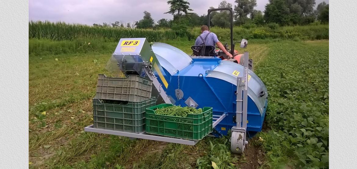 Mounted ONE-ROW small HARVESTER SERIES RF3 for BEANS and GREEN BEANS for FRESH MARKET