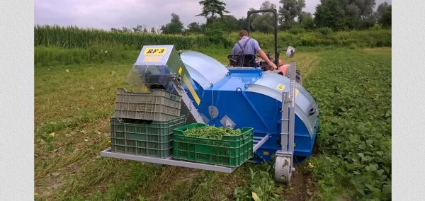 Fontana S.r.l. - Raccoglitrice portata monofila per fagioli e fagiolini da mercato fresco
